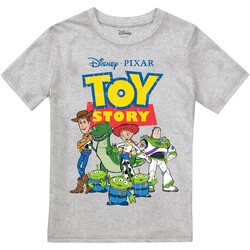 Vêtements Garçon T-shirts manches longues Toy Story  Gris