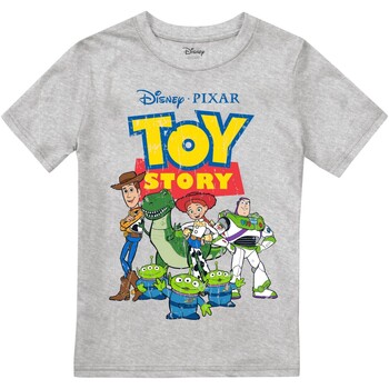 Vêtements Garçon Top 5 des ventes Toy Story  Gris