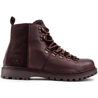 Chaussures Homme Boots Barbour Tommy Bottes Chukka Marron