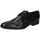 Chaussures Homme Derbies & Richelieu Stefano Branchini EZ842 Noir