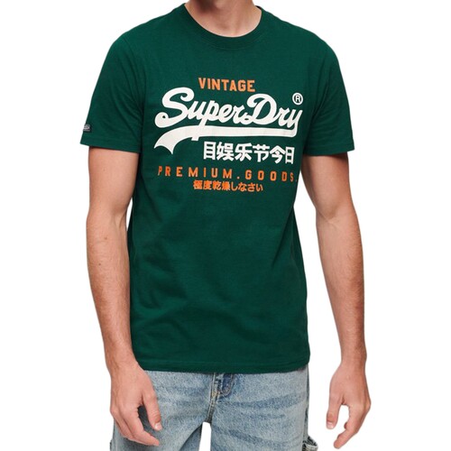 Vêtements Homme T-shirts graphic manches courtes Superdry Tee shirt  Classic VL Heritage Vert
