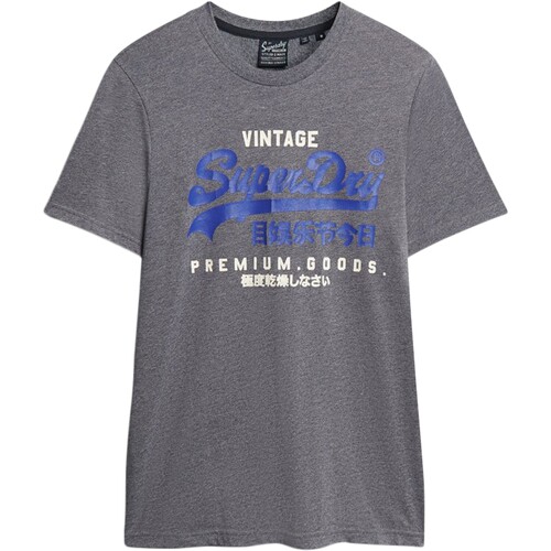 Vêtements Homme T-shirts graphic manches courtes Superdry Tee shirt  Classic VL Heritage Bleu