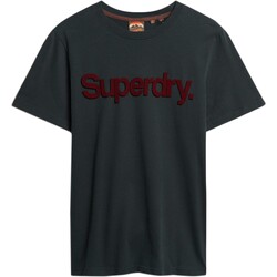 Vêtements Homme T-shirts manches courtes Superdry Core Logo Classic Bleu