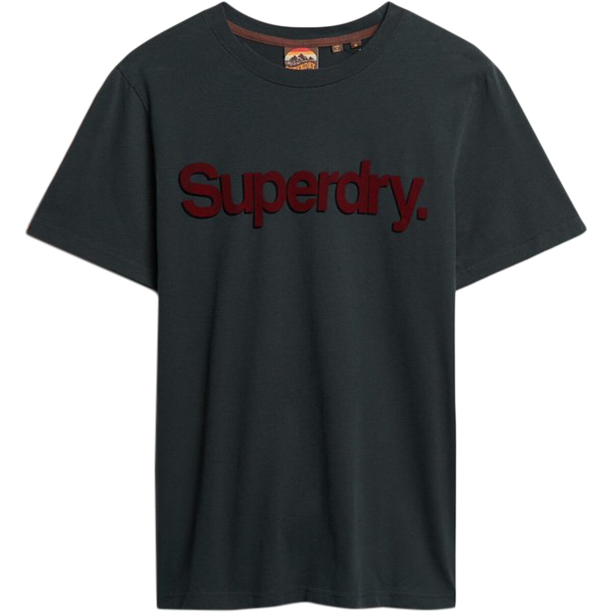 Vêtements Homme T-shirts manches courtes Superdry Core Logo Classic Bleu