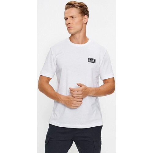 Vêtements Homme T-shirts manches courtes Ea7 Emporio embroidered Armani  Multicolore