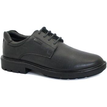 Chaussures Homme Richelieu Melluso MEL-CCC-U55284-NE Noir