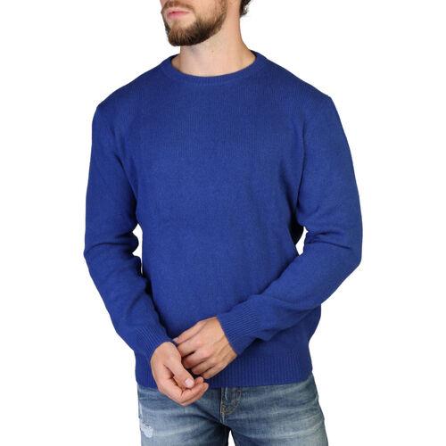 Vêtements Homme Pulls 100% Cashmere - c-neck-m Bleu