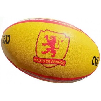 Accessoires Ballons de sport Rtek BALLON DE RUGBY HAUTS DE FRANC Multicolore