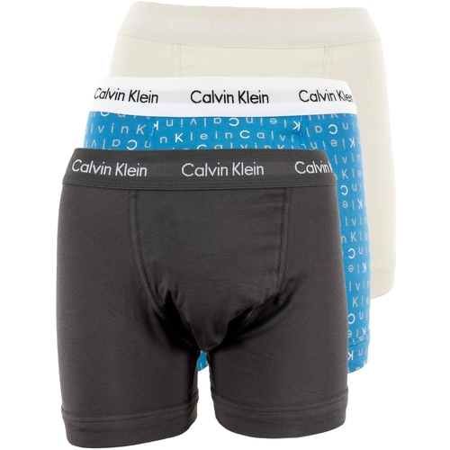 Sous-vêtements Homme Caleçons Calvin Klein Jeans 0000u2664g Noir