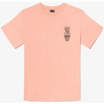 Vêtements Homme Pulls & Gilets Lauren Ralph Lauises T-shirt holo corail imprimé Blanc