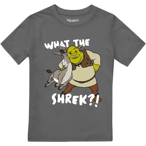 Vêtements Garçon T-shirts manches longues Shrek  Multicolore
