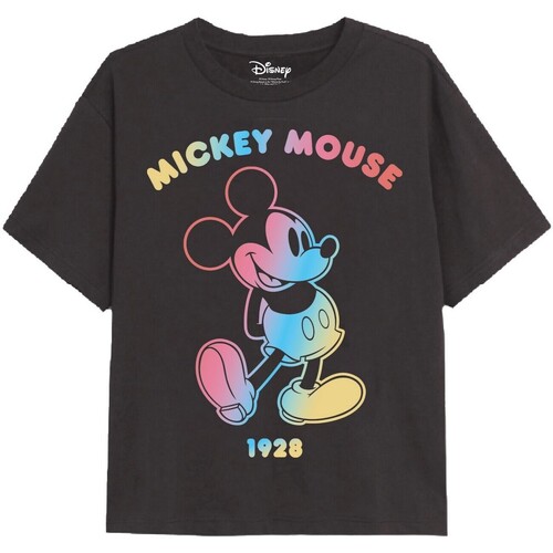 Vêtements Fille tee shirt securite incendie ssiap Disney  Multicolore