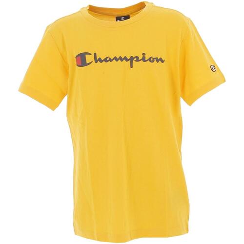 Vêtements Garçon Nike Sportswear Swoosh Fleece Champion Crewneck t-shirt Jaune