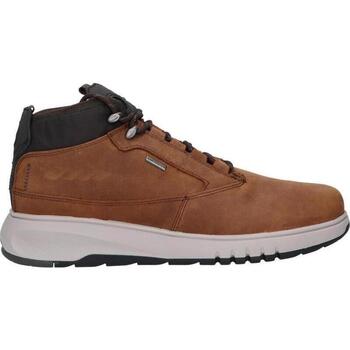 Chaussures Homme Boots Geox U04APA 00045 U AERANTIS 4X4 B ABX Marr
