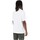 Vêtements Homme T-shirts & Polos Dickies Luray Pocket Tee Ss Blanc