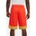 Vêtements Homme Shorts / Bermudas Nike Dri-Fit Icon Orange
