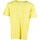 Vêtements Homme T-shirts & Polos Russell Athletic Iconic S/S  Crewneck  Tee Shirt Jaune