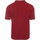 Vêtements T-shirts & Polos Errea Polo Team Colour 2012 Mc Ad Rouge