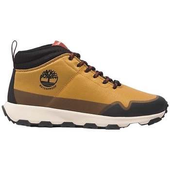 Chaussures Homme Multisport Timberland WNTR MID LC WATERPROF HKR Marron