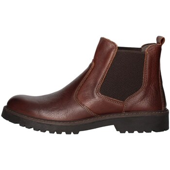 Chaussures Homme Boots IgI&CO 4607111 bottes Homme Marron