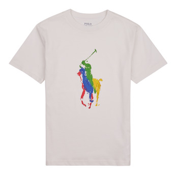 Vêtements Enfant T-shirts manches courtes Polo Ralph Lauren SS CN-KNIT SHIRTS-T-SHIRT Blanc / Deckwash White
