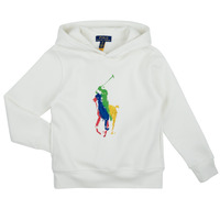 Vêtements Enfant Sweats Polo Ralph Lauren PO HOOD-KNIT SHIRTS-SWEATSHIRT Blanc / Deckwash Whte