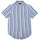 Vêtements Garçon Chemises manches courtes Polo Ralph Lauren 323934866001 Bleu Ciel / Blanc