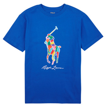 Vêtements Garçon T-shirts manches courtes Polo Ralph Lauren SS CN-KNIT SHIRTS-T-SHIRT Bleu / Heritage Blue