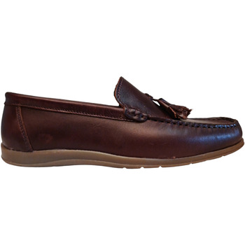 Chaussures Homme Mocassins Molina MOVE529MA Marron