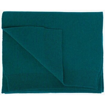 Accessoires textile Homme Echarpes / Etoles / Foulards Colorful Standard Wool Scarf Ocean Vert