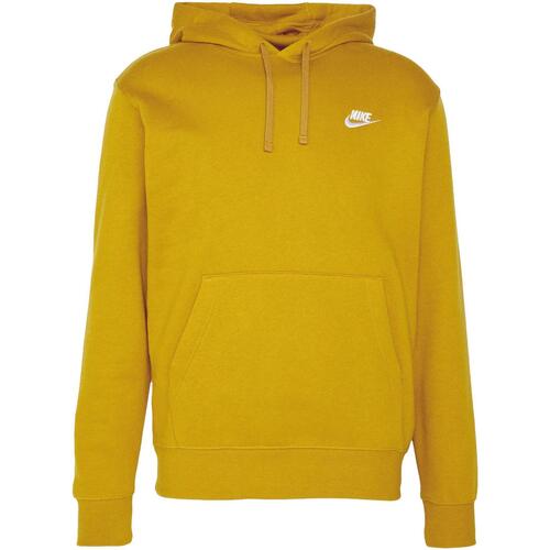 Vêtements Homme Sweats Nike M nsw club hoodie po bb Vert
