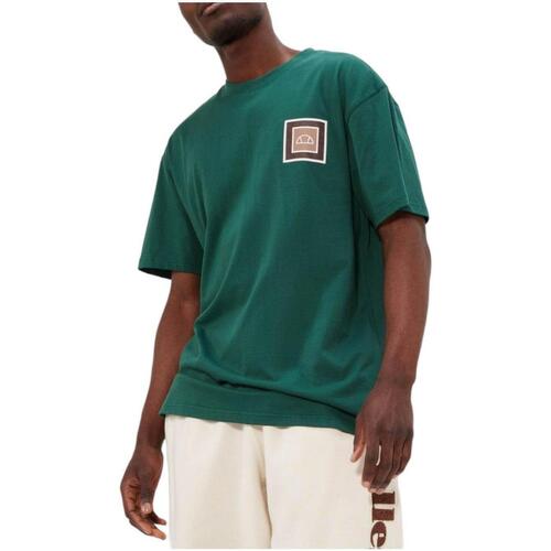 Vêtements Homme T-shirts manches courtes Ellesse  Vert