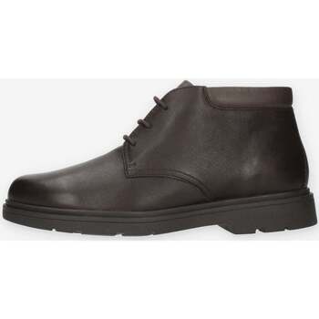 Chaussures Homme Richelieu Geox U36D1B-00046-C6009 Marron