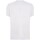 Vêtements Homme T-shirts manches courtes Dsquared  Blanc