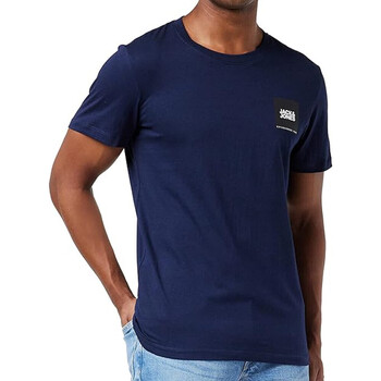 Vêtements Homme T-shirts manches courtes Jack & Jones 12246280 Bleu