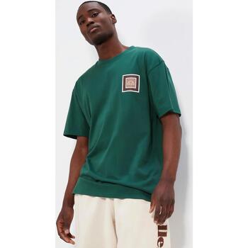 Vêtements Homme T-shirts manches courtes Ellesse Portier tee Vert