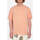 Vêtements Homme T-shirts manches courtes Volcom Camiseta  Solid Stone Emb Peach Bud Orange