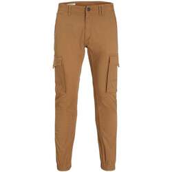 Vêtements Homme Pantalons cargo Jack & Jones 153560VTAH23 Marron