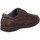 Chaussures Homme Baskets mode Pitillos BASKETS  110 Marron
