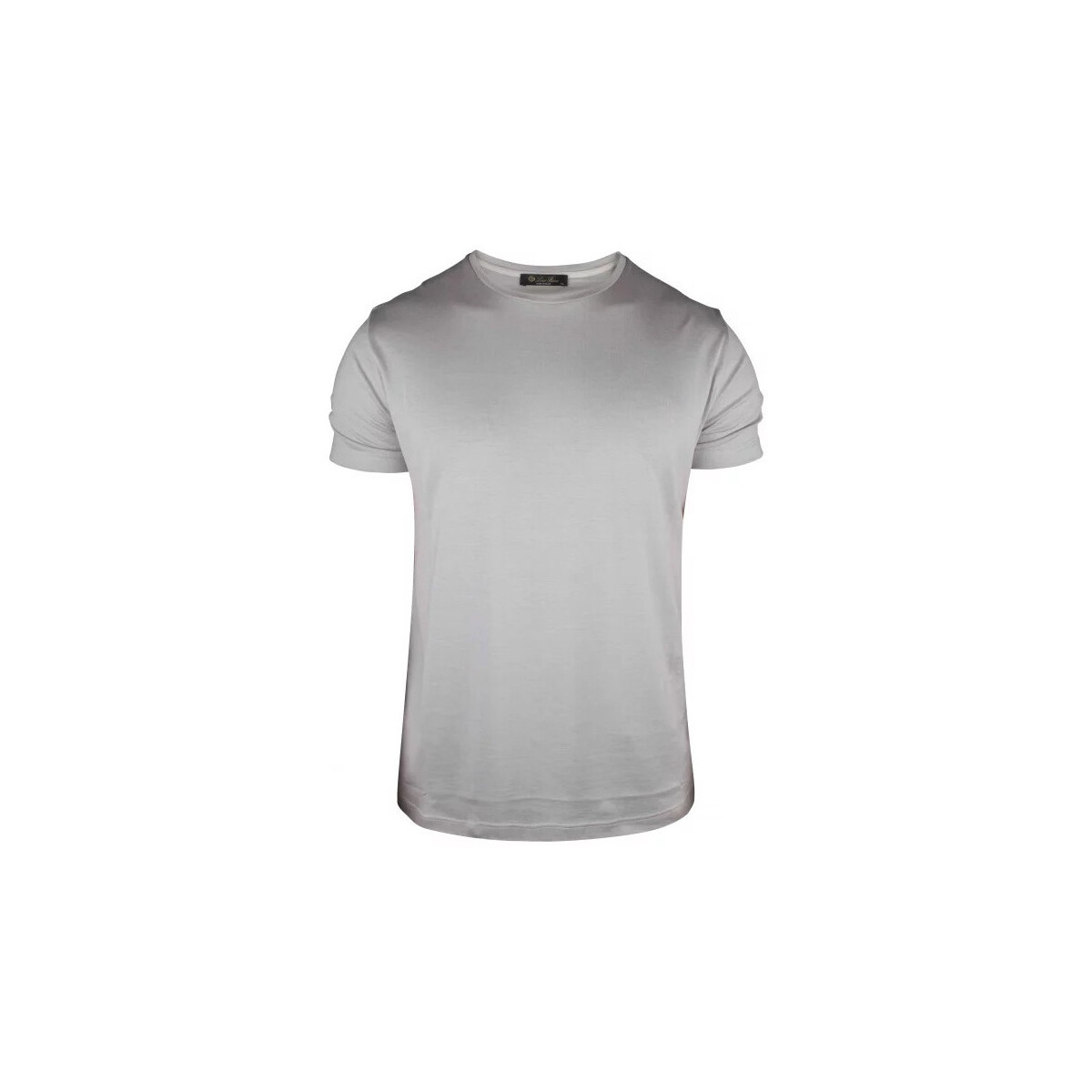 Vêtements Homme T-shirts & Polos Loro Piana T-shirt Gris