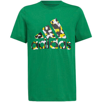 Vêtements Enfant T-shirts & Polos adidas Originals Tee-shirt ENFANT  CLASSIC LEGO® GRAPHIC TEE Vert