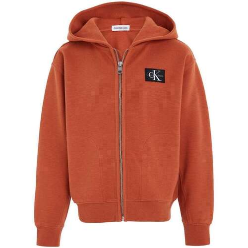 Vêtements Garçon Sweats Calvin Klein JEANS cotton 153081VTAH23 Orange