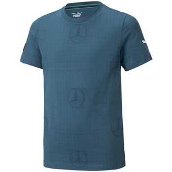 Vêtements Enfant T-shirts manches courtes Puma 534044-04 Bleu