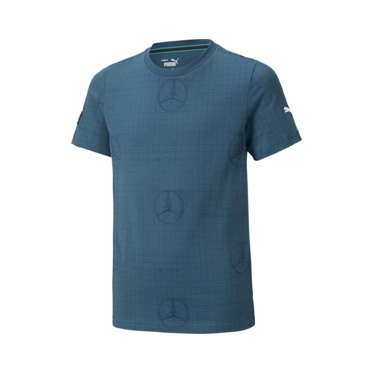 Vêtements Garçon T-shirts & Polos Puma 534044-04 Bleu