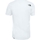 Vêtements Homme T-shirts & Polos The North Face M S/S SIMPLE DOME TEE Blanc