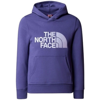 The North Face BOY'S DREW PEAK P/O HOODI Bleu