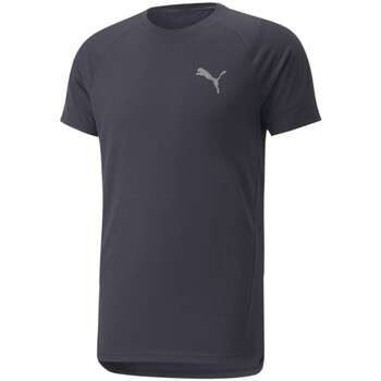 Vêtements Homme T-shirts enmbroidered-logo & Polos Puma 847394-43 Bleu