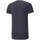 Vêtements Homme T-shirts & Polos Puma 847394-43 Bleu