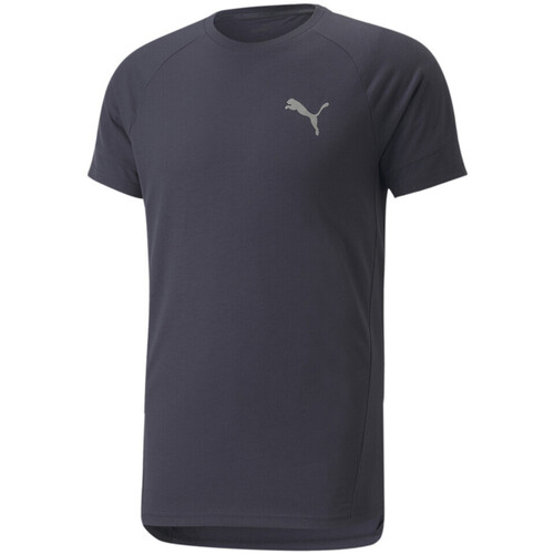 Vêtements Homme T-shirts manches courtes Puma 847394-43 Bleu