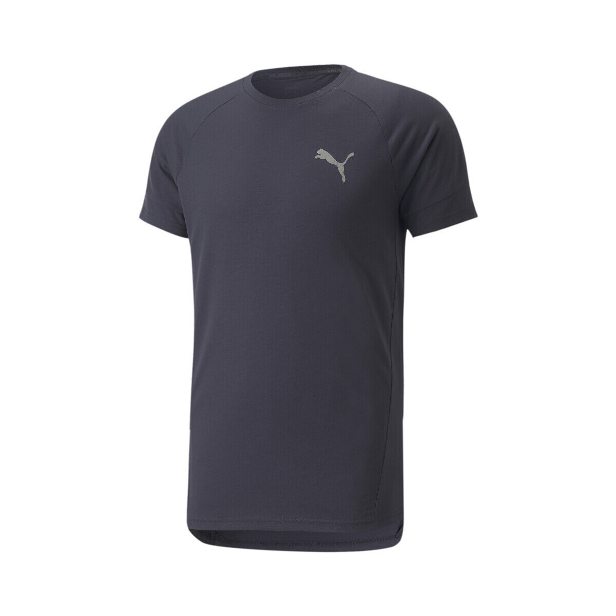 Vêtements Homme T-shirts & Polos Puma 847394-43 Bleu